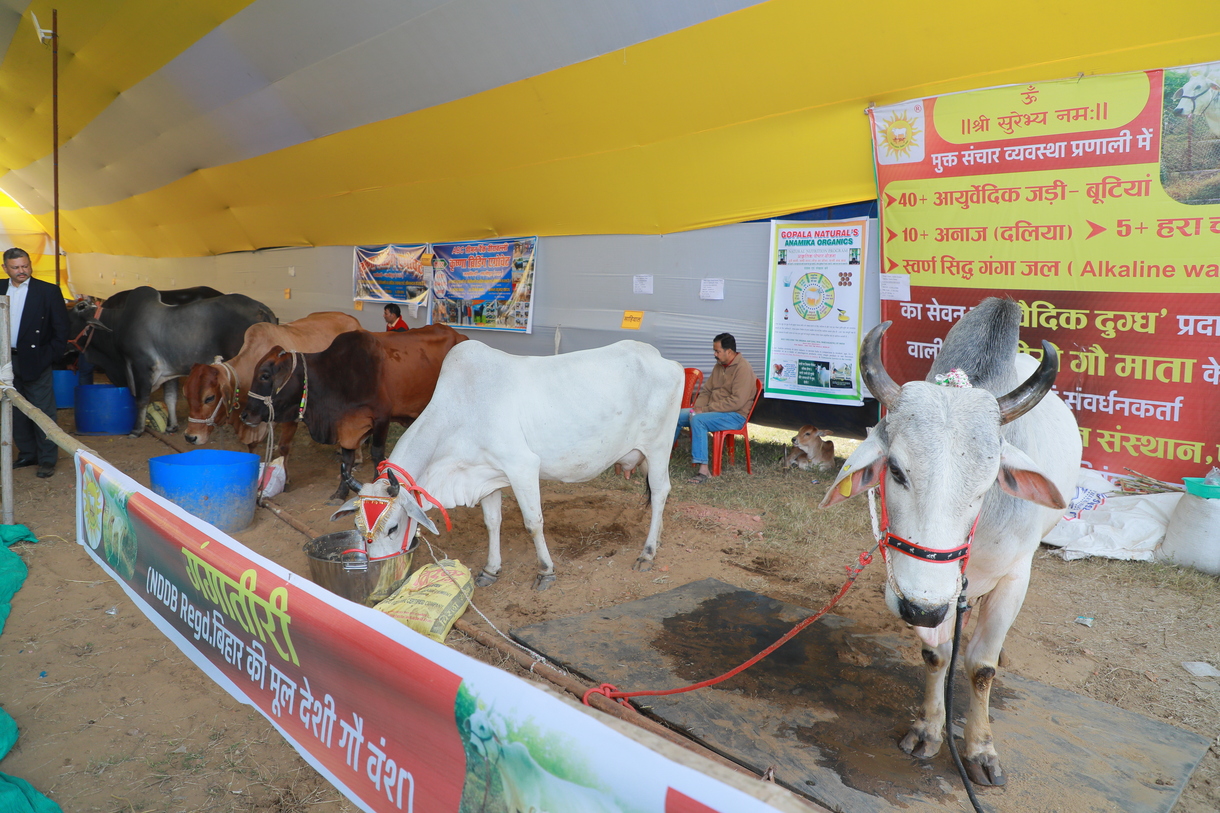 Bihar Dairy & Cattle Expo 2023